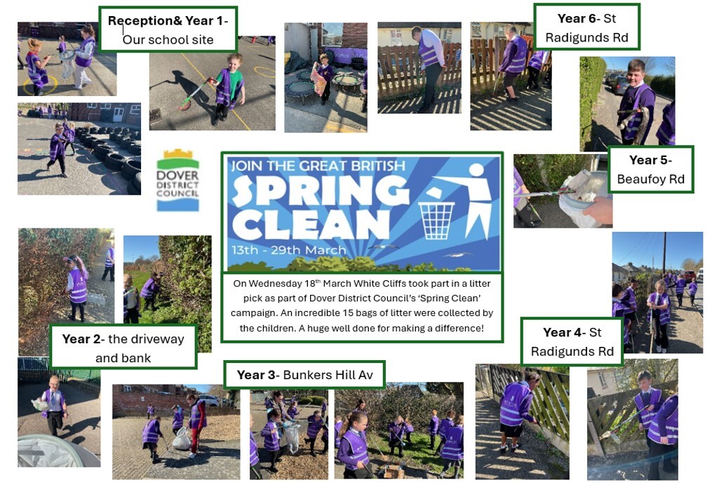 Litter Pick