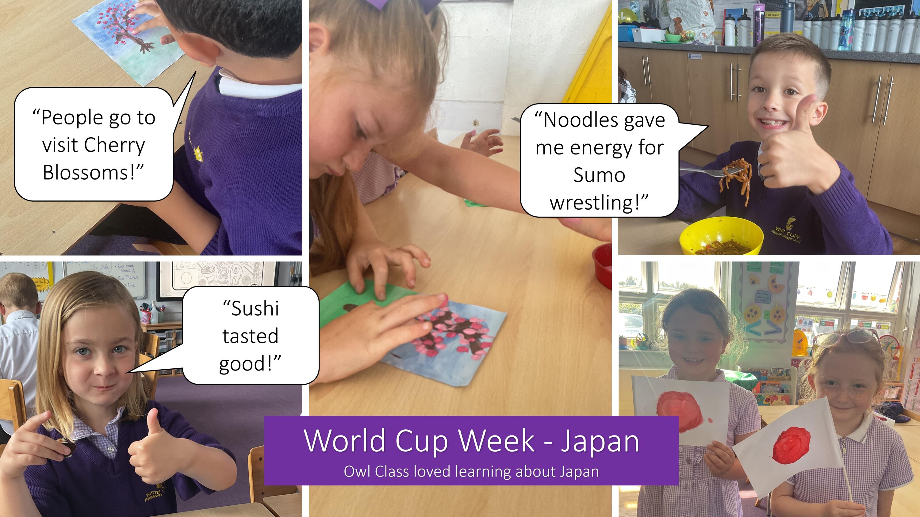 Japan Websie