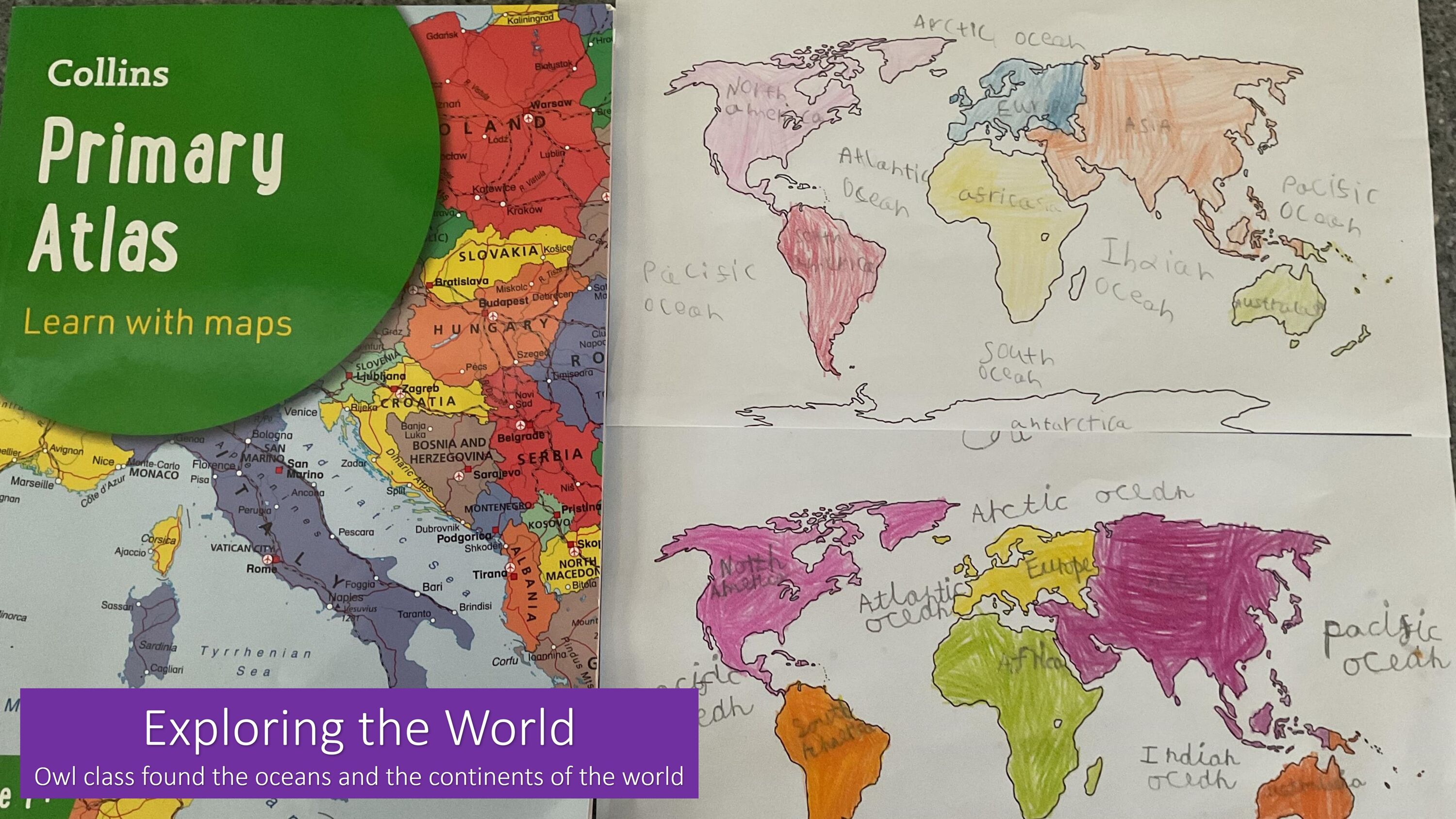 Website World