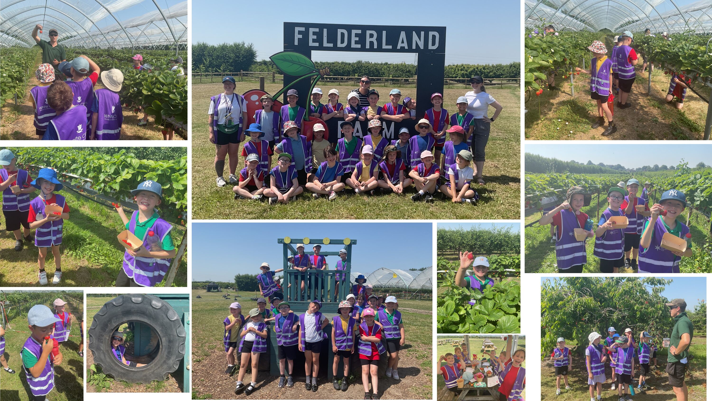 Felderland farm